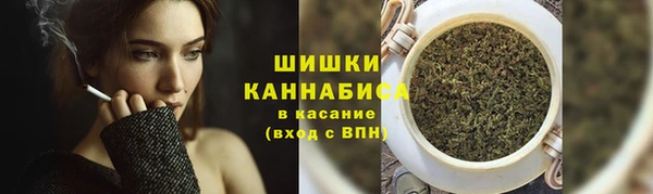 дживик Слюдянка
