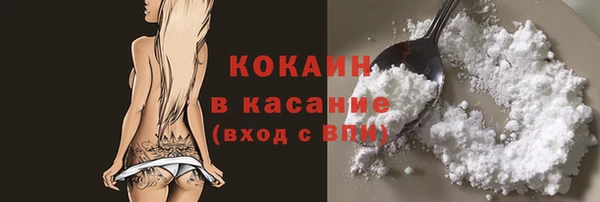 apvp Снежногорск