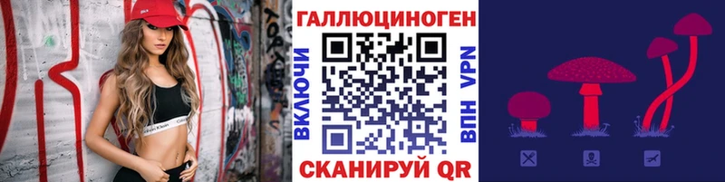 Галлюциногенные грибы Psilocybe  наркотики  Гусь-Хрустальный 