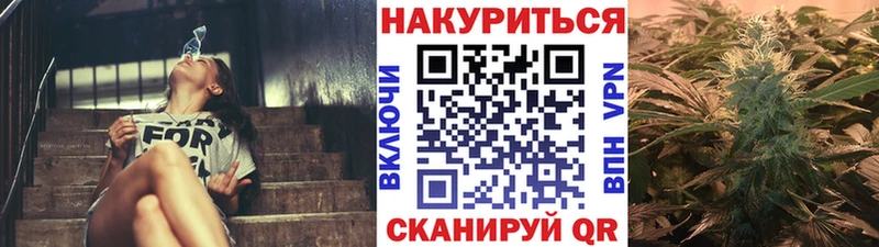 Марихуана план  сколько стоит  Гусь-Хрустальный 